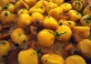 gnocchi_funghi_porcini