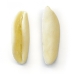 cavatello