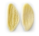 foglie_ulivo